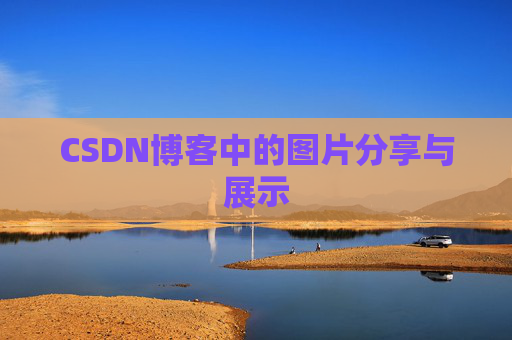 CSDN博客中的图片分享与展示